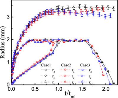 Experimental investigation on microlayer behavior and bubble growth based on laser interferometric method